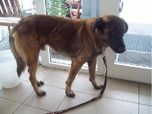 Ο Παρης ψαχνει οικογενεια