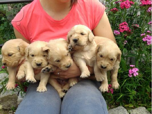 PoulaTo: Golden red river