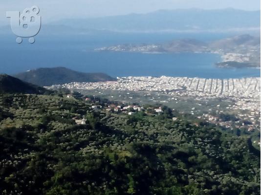 Πωλειται οικοπεδω στην μακρινιτσα πηλιου εντος σχεδιου λογο μεγαλης αναγγης...