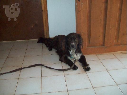 Κοκωνι χαριζεται