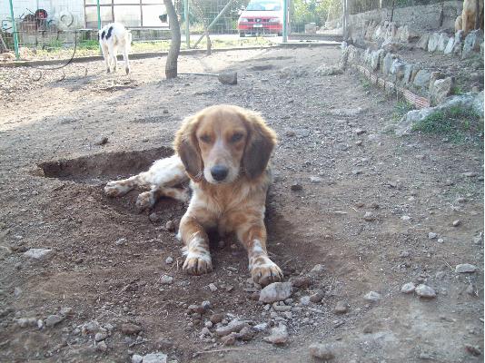 Ο μικροσωμος Charlie χαριζεται