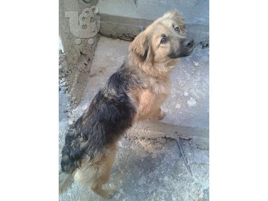 Η Λάρα χαριζεται