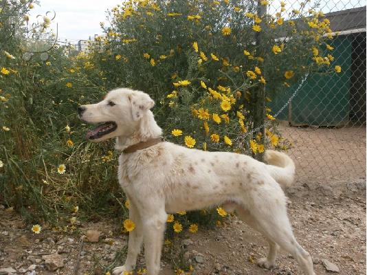 Ο κουκλος Μαρκος χαριζεται