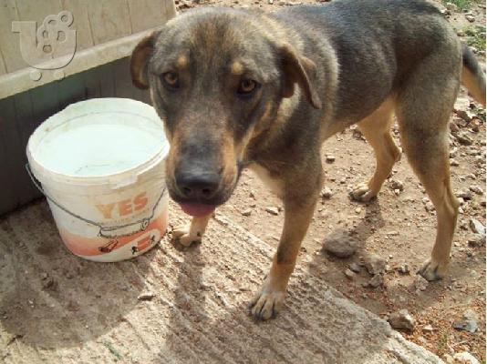 Ο Πετρος χαριζεται