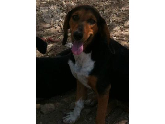 Γκεκακι χαριζεται