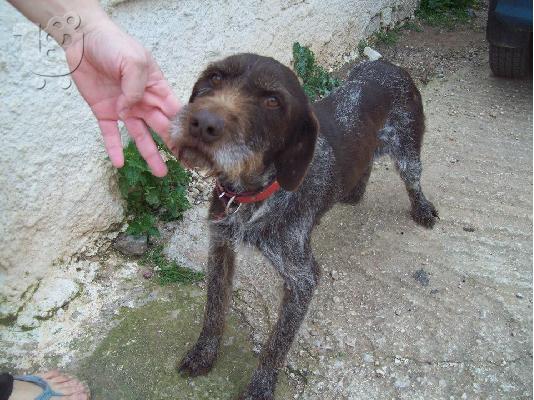 Η κουκλιτσα Νικη χαριζεται