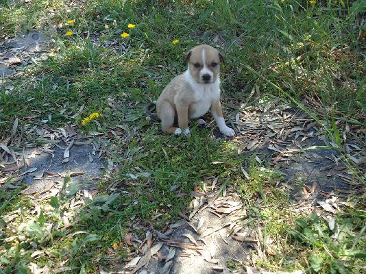 PoulaTo: Χαρίζονται καταβάκια