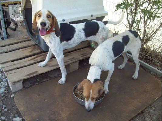 PoulaTo: Μηνας και Φριντα σετακι