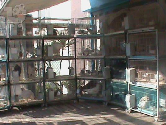 ΠΩΛΕΙΤΑΙ PET SHOP