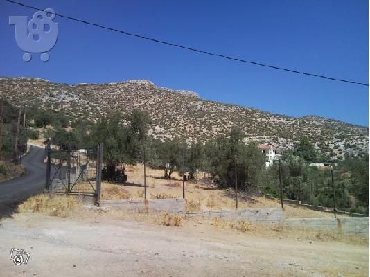 ΑΓΡΟΤΕΜΆΧΙΟ ΕΥΚΑΙΡΊΑ ΑΠΌ ΙΔΙΏΤΗ