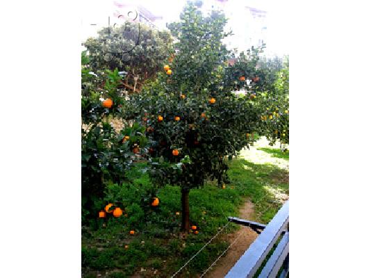 διαμέρισμα στο μετρό Χολαργός