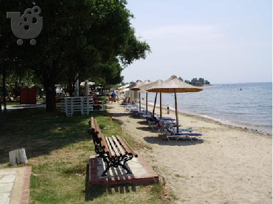 PoulaTo: Xαλκιδικη Πωλειται Αγροτεμαχιο παραθαλασσιο