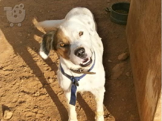 Ο κουκλος Μαρκος χαριζεται