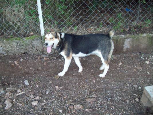 PoulaTo: Η Βιρνα χαριζεται