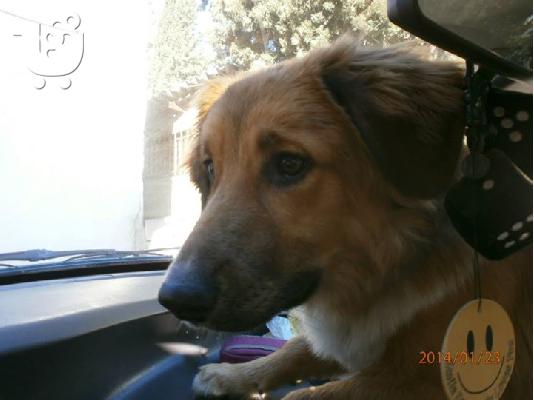 Αντρεας ο ομορφος χαριζεται