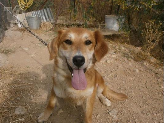 PoulaTo: H μικροσωμη Σιμον χαριζεται