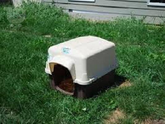 PoulaTo: σπιτακι σκυλου