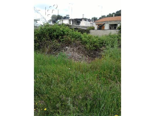Πωλείται οικόπεδο στο Πευκί Ευβοίας 186 τ.μ.