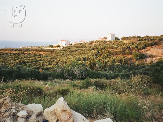 PoulaTo: ΠΩΛΕΙΤΑΙ ΟΙΚΟΠΕΔΟ με την άδεια οικοδομής ΓΙΑ ΚΑΤΟΙΚΙΕΣ
