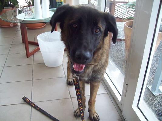 Ο Παρης ψαχνει οικογενεια