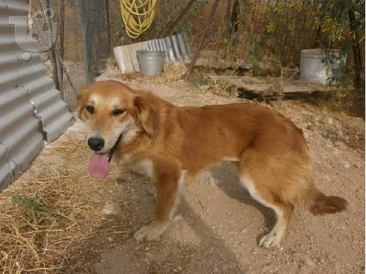 H μικροσωμη Σιμον χαριζεται