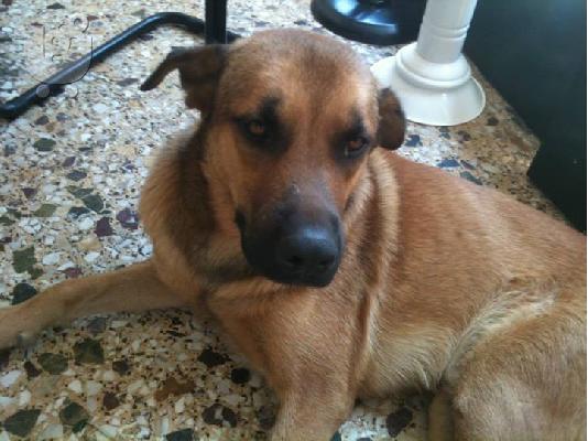 Μεγαλοσωμος κουκλος χαριζεται