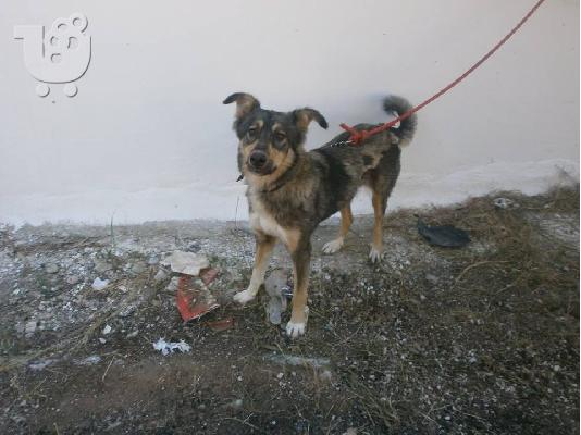 PoulaTo: Η Ηρα χαριζεται