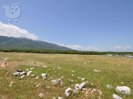 ΠΩΛΕΙΤΑΙ Αγροτική έκταση 5.500 μ.