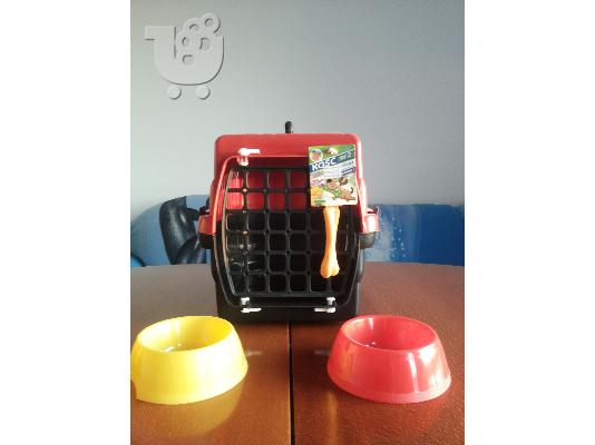 CHIHUAHUA - 450 euro