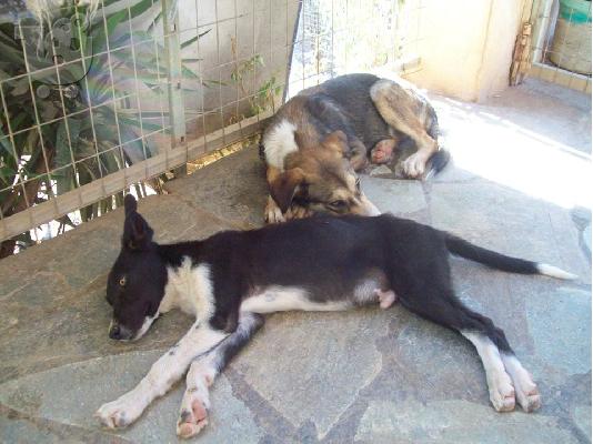 Νεαρα αγορακια ψαχνουν οικογενεια