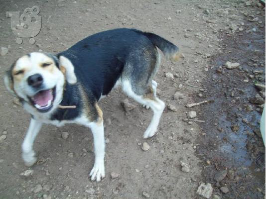 Η Βιρνα χαριζεται