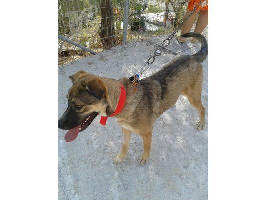 PoulaTo: Η Λιζα ψαχνει σπιτι