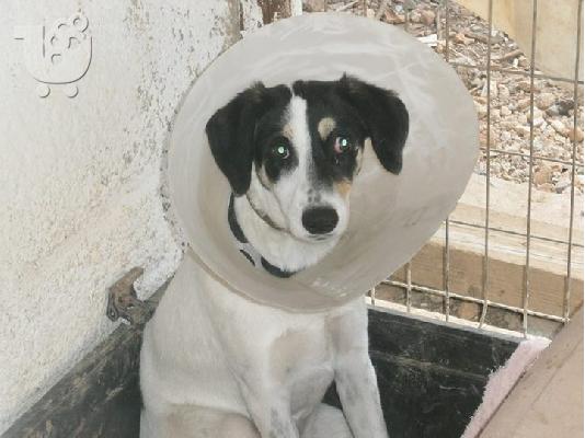 Η Φρηντα ψαχνει οικογενοια