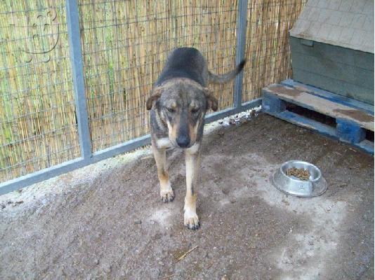 Ο Πετρος χαριζεται