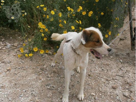 Ο κουκλος Μαρκος χαριζεται