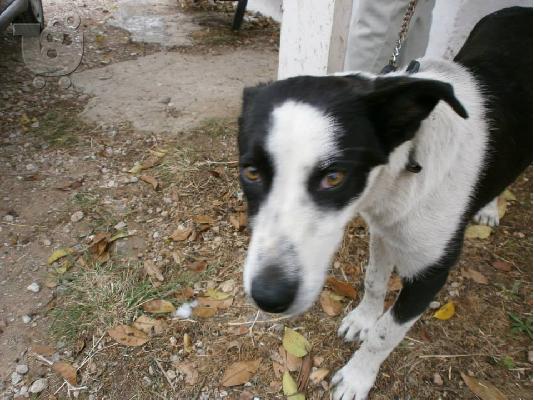 Η Σισσυ χαριζεται