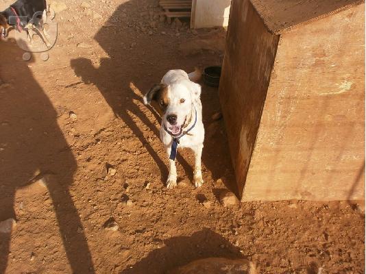 Ο κουκλος Μαρκος χαριζεται