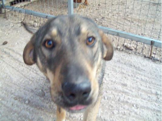 PoulaTo: Ο Πετρος χαριζεται