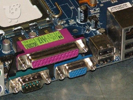 Χάσκι Σιβηρίας (Siberian Husky)