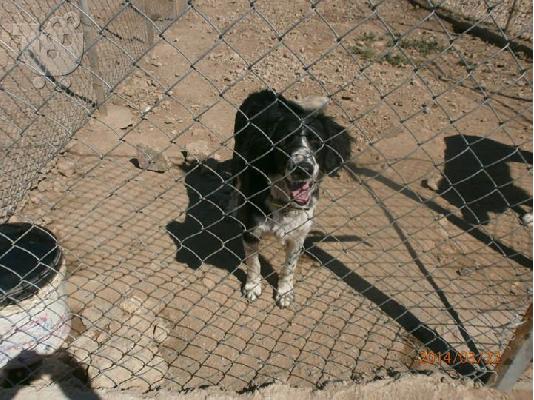Ξανα χαριζεται η Ζεμμα