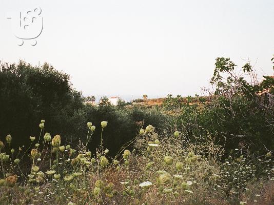 ΠΩΛΕΙΤΑΙ ΟΙΚΟΠΕΔΟ με την άδεια οικοδομής ΓΙΑ ΚΑΤΟΙΚΙΕΣ...