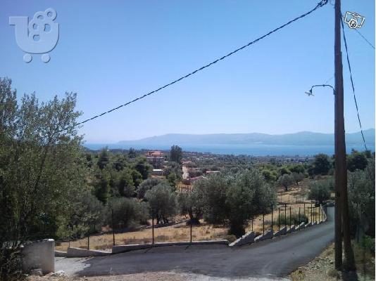 PoulaTo: ΑΓΡΟΤΕΜΆΧΙΟ ΕΥΚΑΙΡΊΑ ΑΠΌ ΙΔΙΏΤΗ