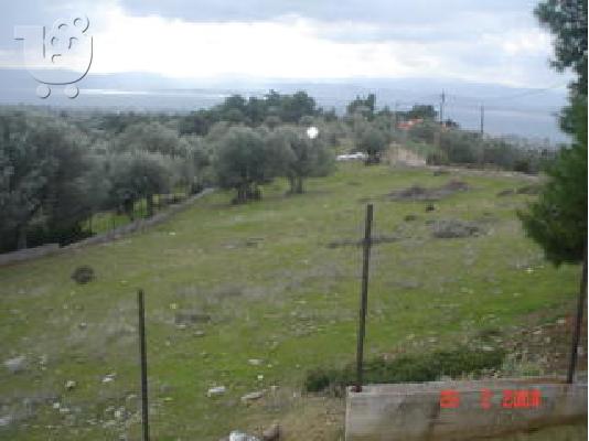 ΑΓΡΟΤΕΜΆΧΙΟ ΕΥΚΑΙΡΊΑ ΑΠΌ ΙΔΙΏΤΗ