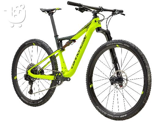 2019 Specialized Men