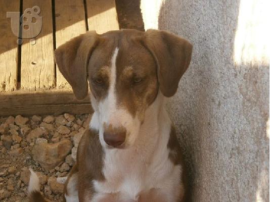 Η Μελενια χαριζεται