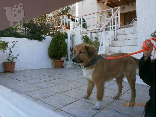 PoulaTo: Αντρεας ο ομορφος χαριζεται