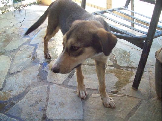 Νεαρα αγορακια ψαχνουν οικογενεια