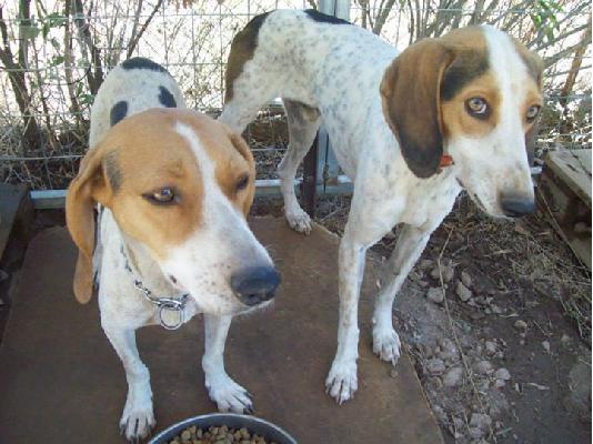 Μηνας και Φριντα σετακι