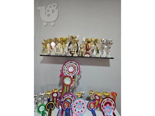 Πατημασιά όμορφα κουτάβια