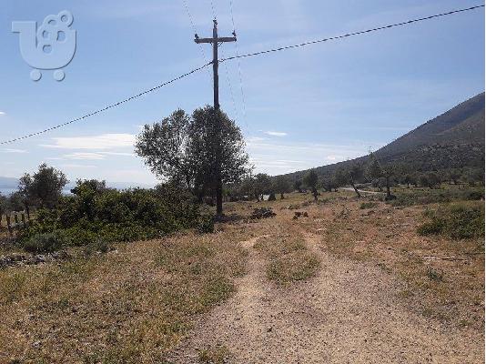 Αγροτεμάχιο, οικόπεδο